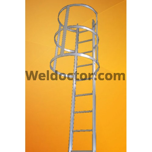 Cat Ladder With Cage