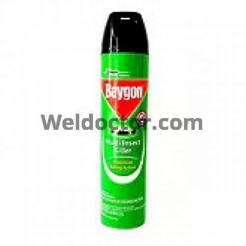 Baygon Insecticide 600ml (All Insect Killer)
